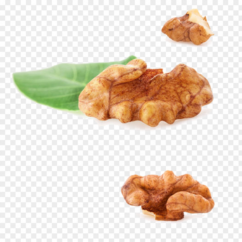 Walnut Meat Composition English Fruitcake Nuts PNG
