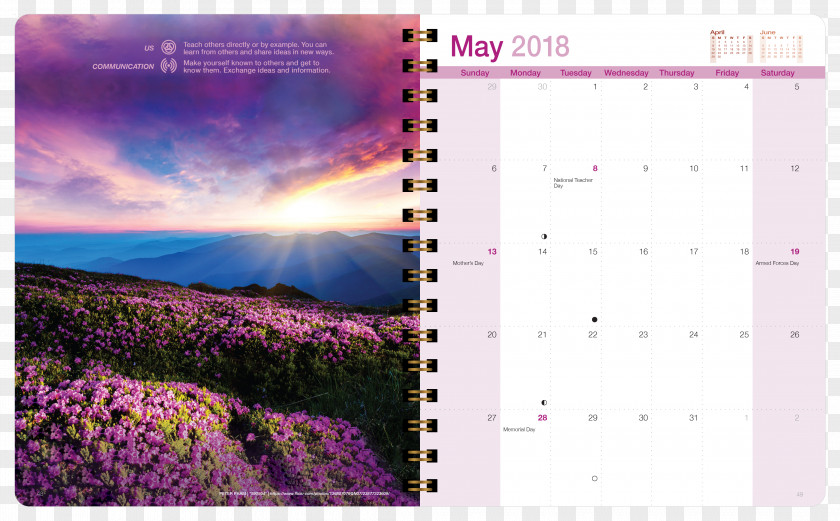 Day Planner Desktop Wallpaper Flower Sunset Sky PNG