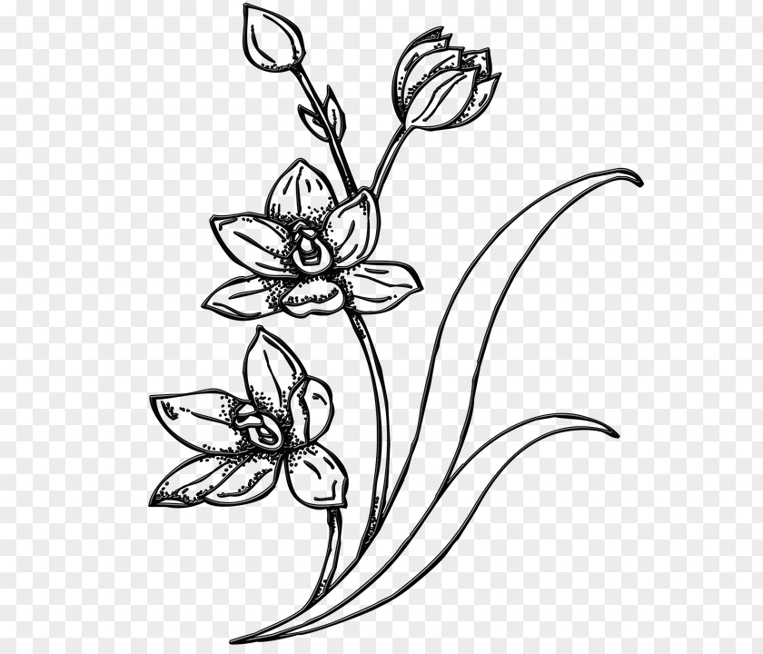 Flower Drawing Image Sketch Clip Art PNG