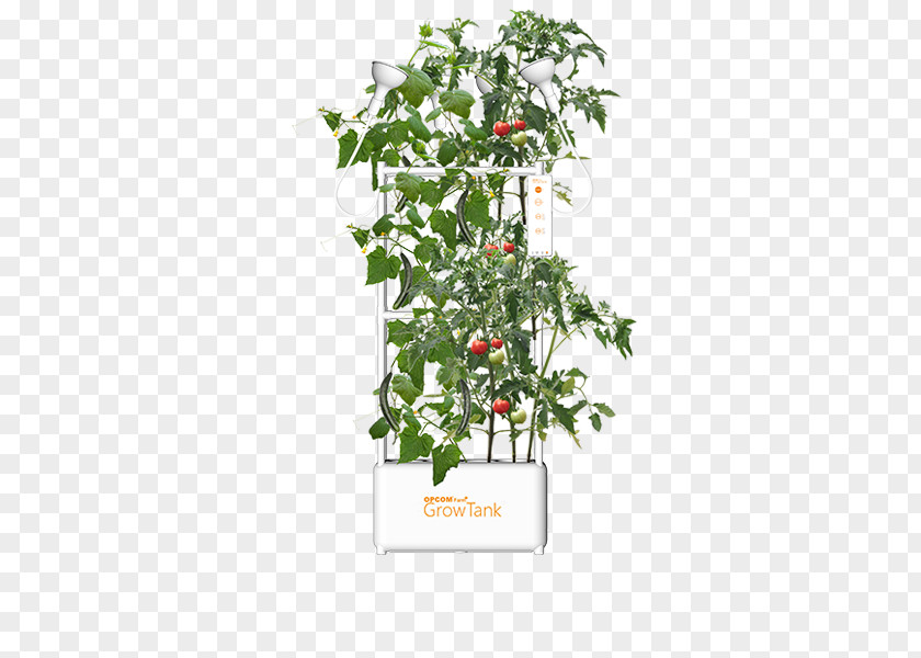 Hydroponic Grow Box Houseplant Garden Flowerpot Hydroponics Plants PNG