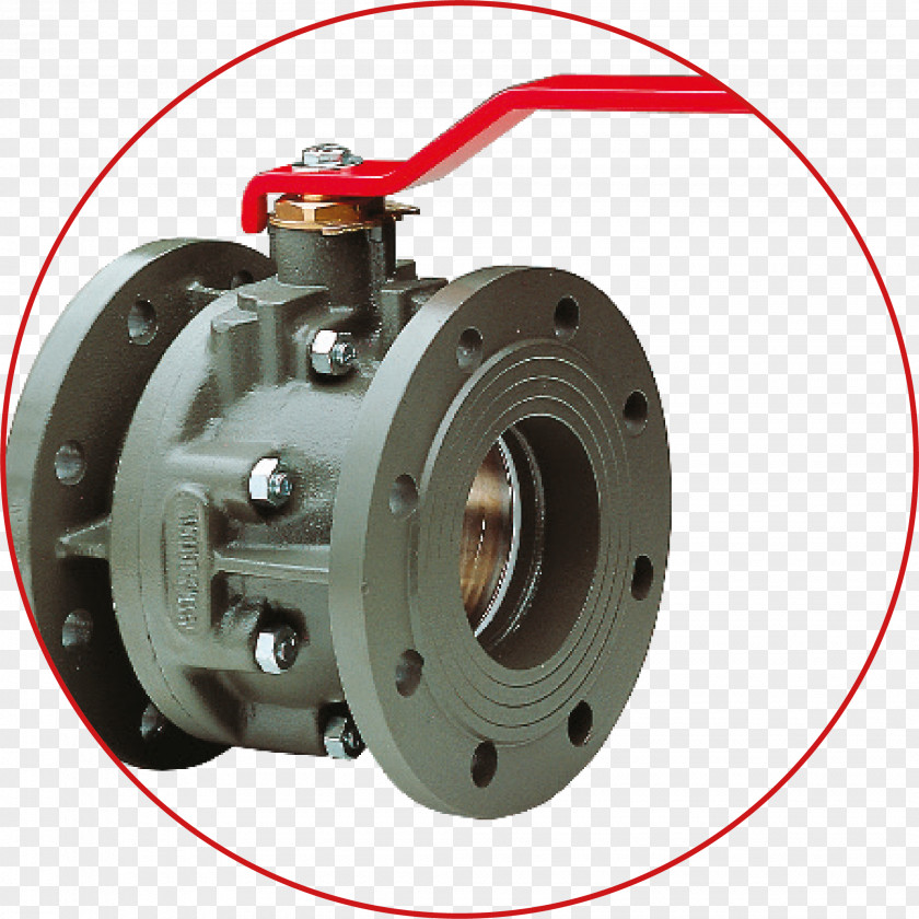 OMB Valves Italy Brandoni S.p.A. Valvole Industriali Product Market ISO 9000 Strategy PNG