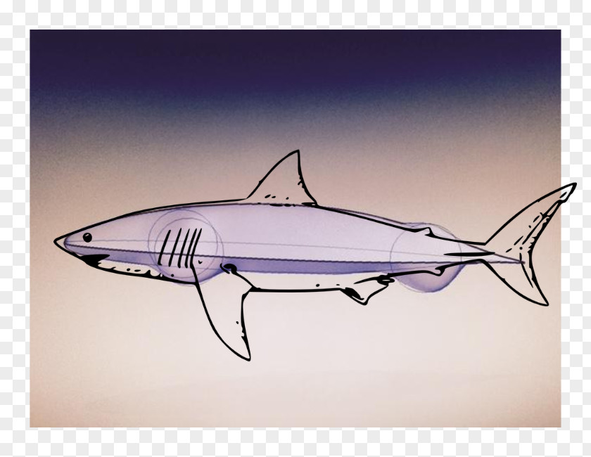 Shark Fauna Swordfish Clip Art PNG