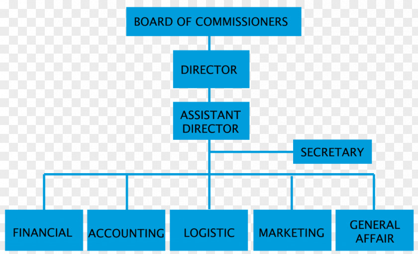 Struktur Organisasi Organizational Chart Management Structure Business PNG