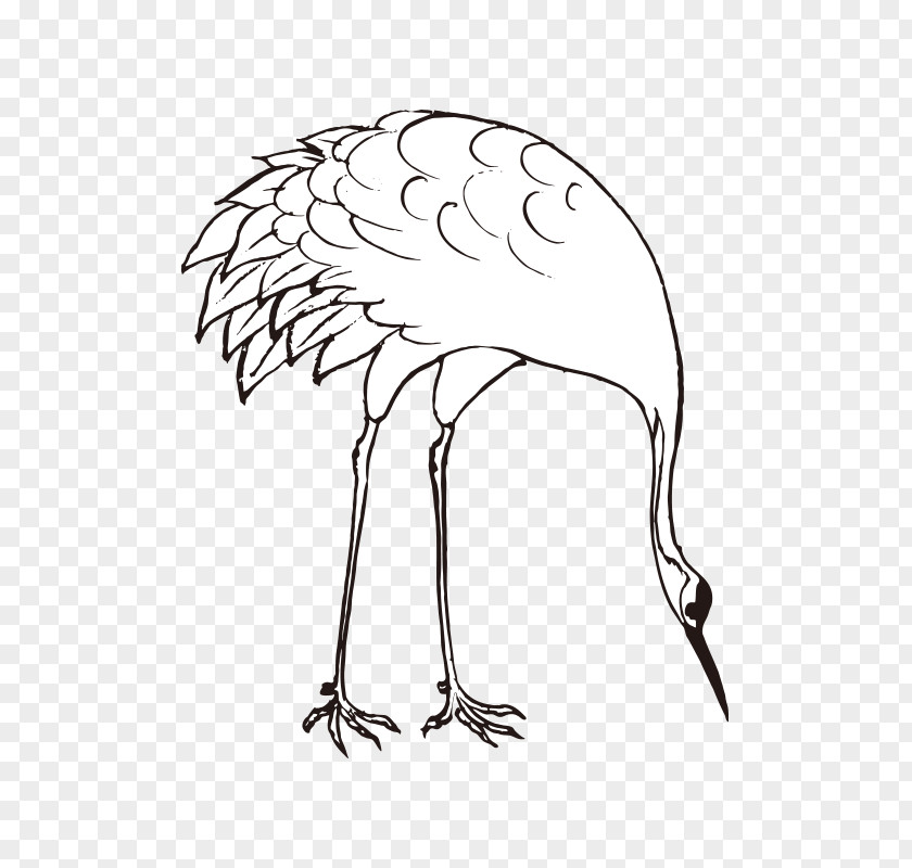 Swan Mute Tundra Bird PNG
