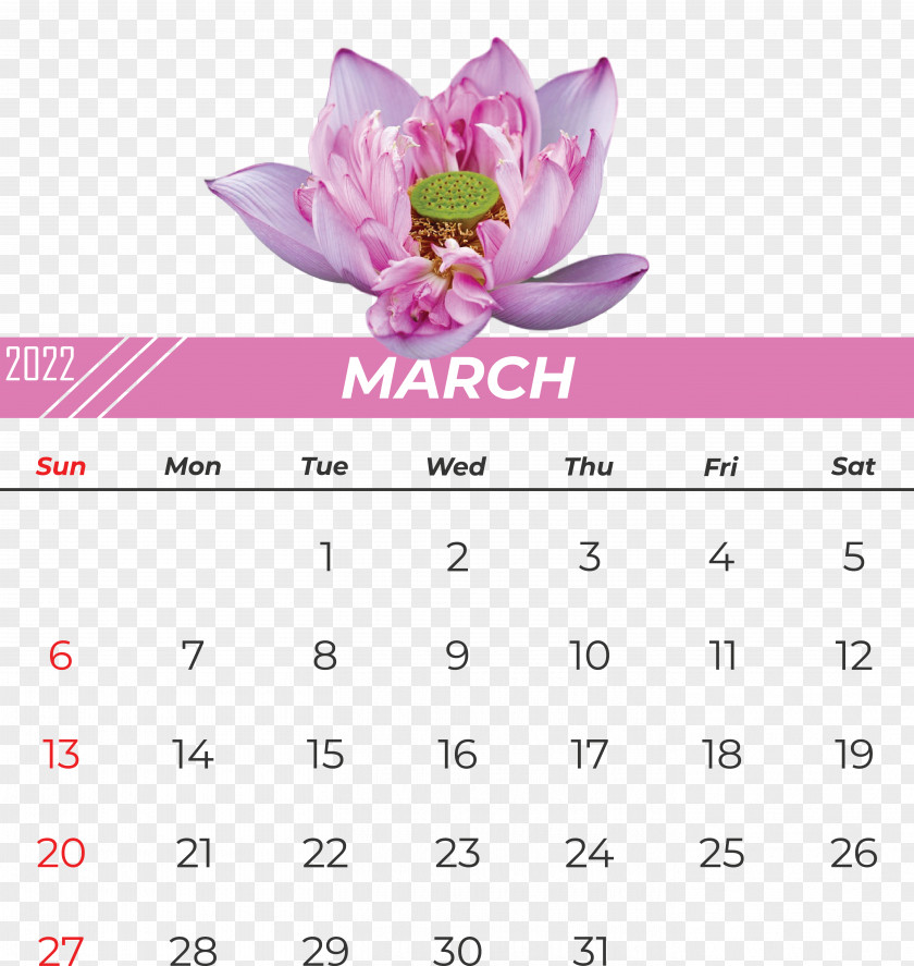 Flower Calendar Font Pink M Meter PNG
