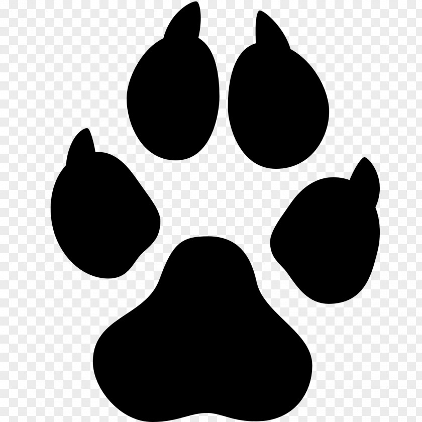 Footprints Cairn Terrier Yorkshire Red Fox Pembroke Welsh Corgi Puppy PNG