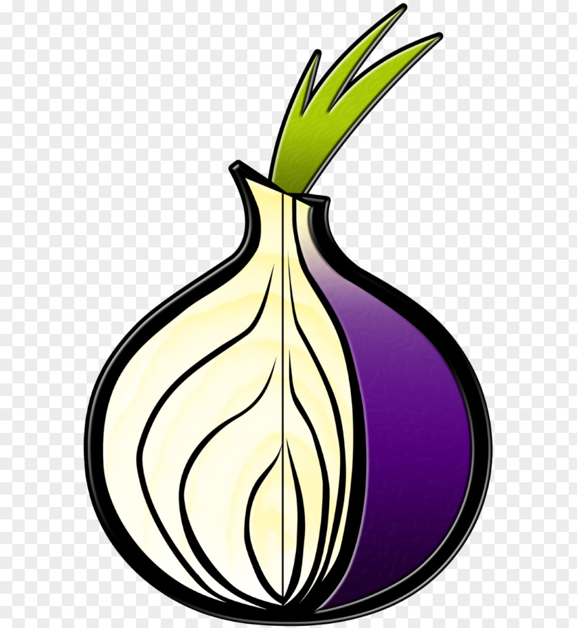 Onion Tor Browser .onion Anonymity Routing PNG