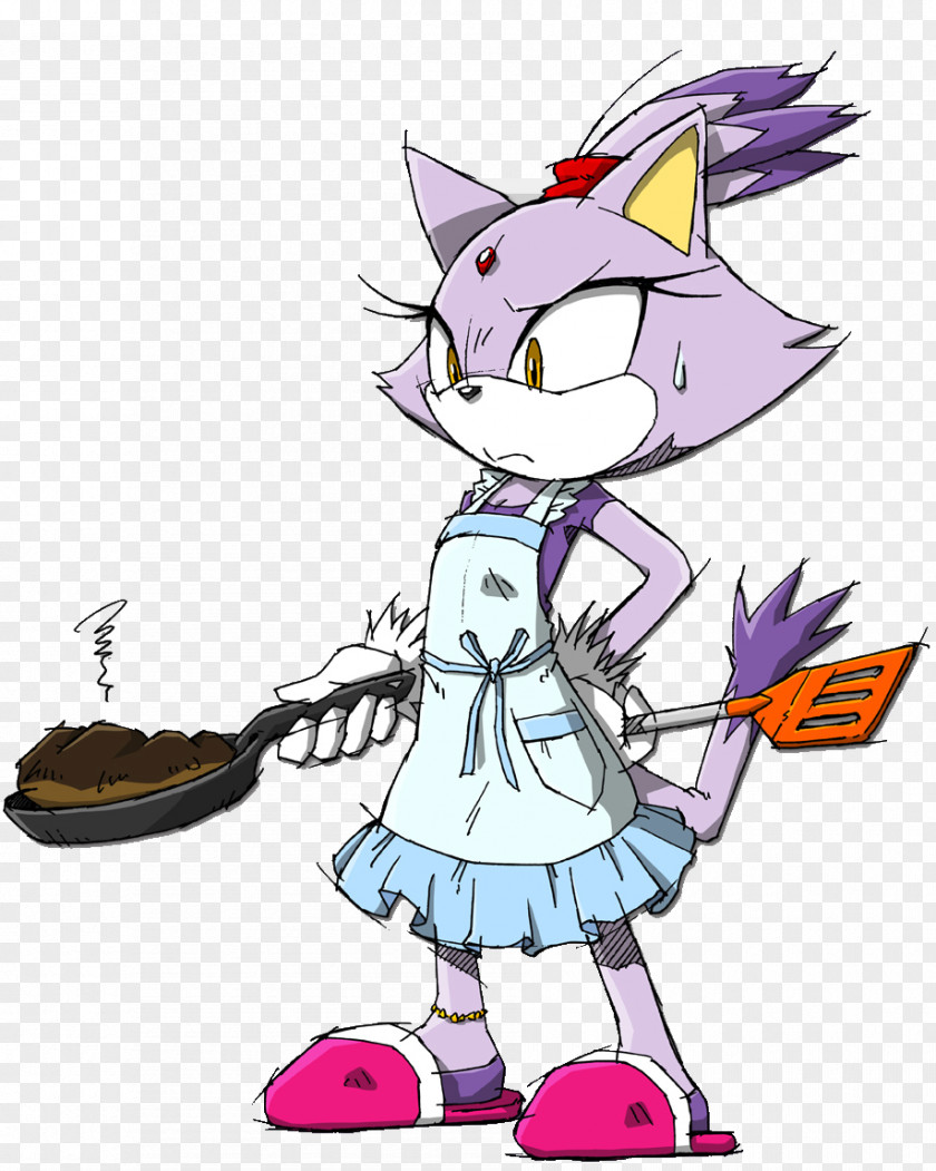 Sonic Rush Adventure Amy Rose Chaos PNG