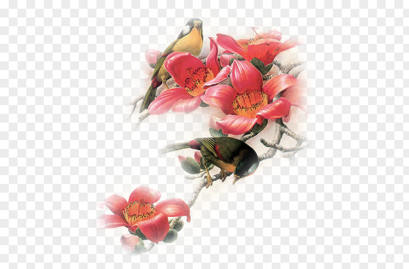 Bird Gfycat Flower Bokmärke PNG