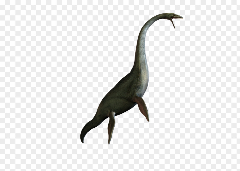 Dinosaurs Bird PhotoScape GIMP Beak PNG