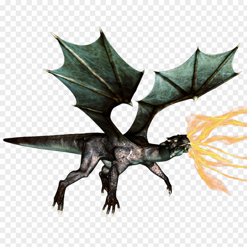 Dragon Fantasy European Fire Breathing PNG