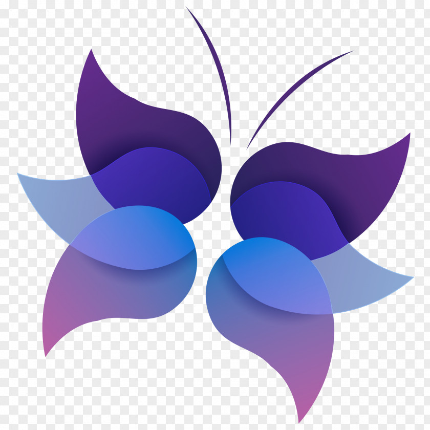 Buterfly Butterfly Purple Color Blue PNG