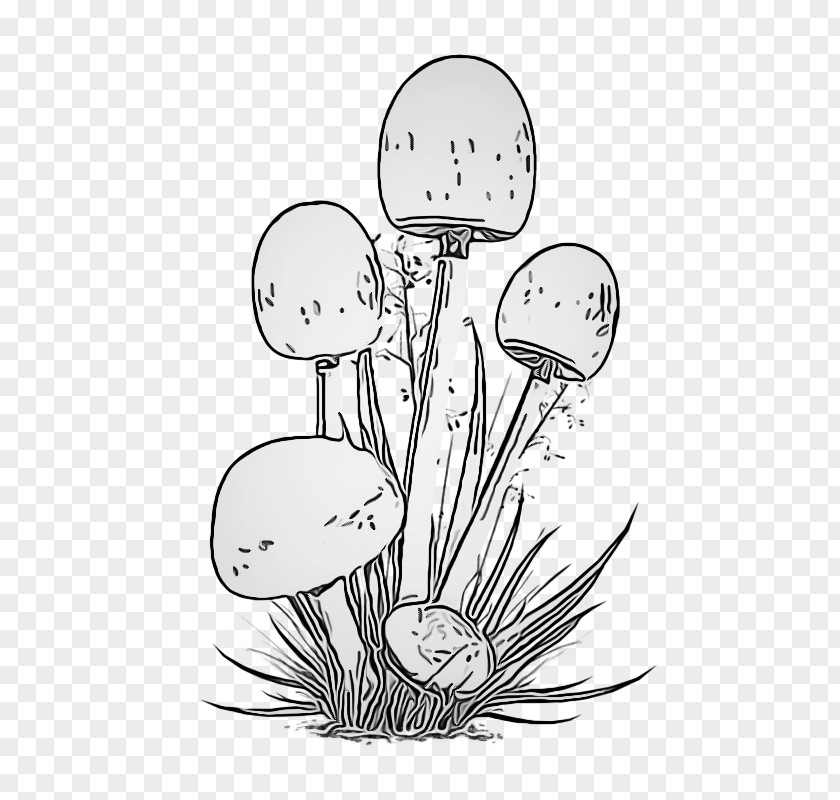 Coloring Book Plant Stem Line Art Mushroom Grass Black-and-white PNG
