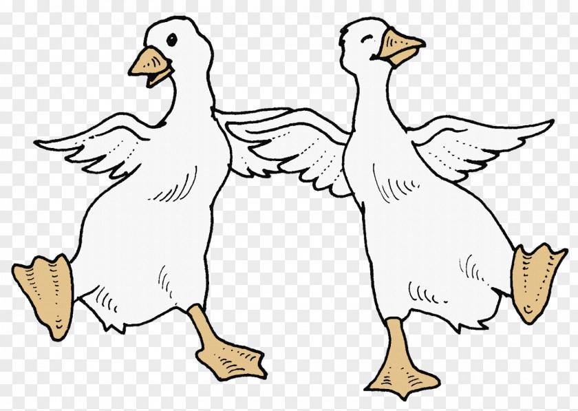 Goose Coloring Book Duck Child PNG