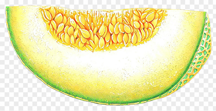 Melon Muskmelon Yellow Cantaloupe Galia PNG