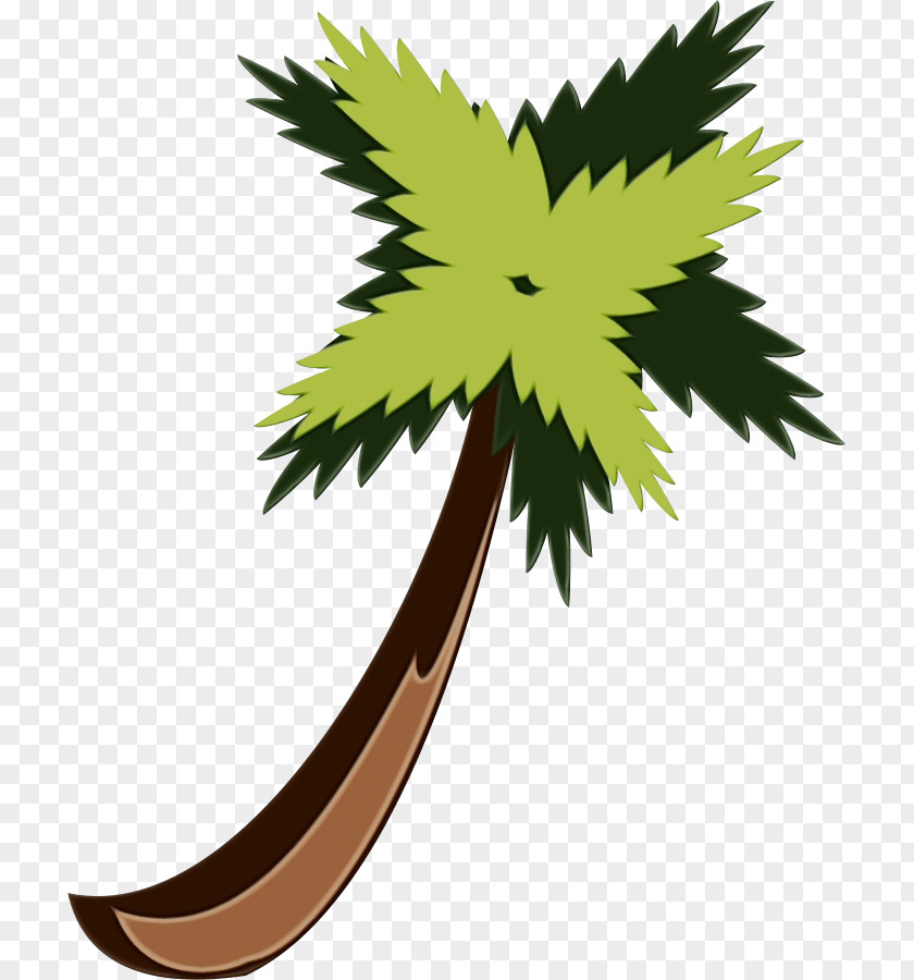 Palm Tree PNG