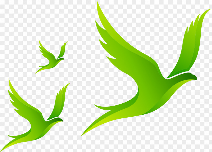 Birds In Flight Venture Capital Entrepreneurship Startup Company Investment Business Plan PNG