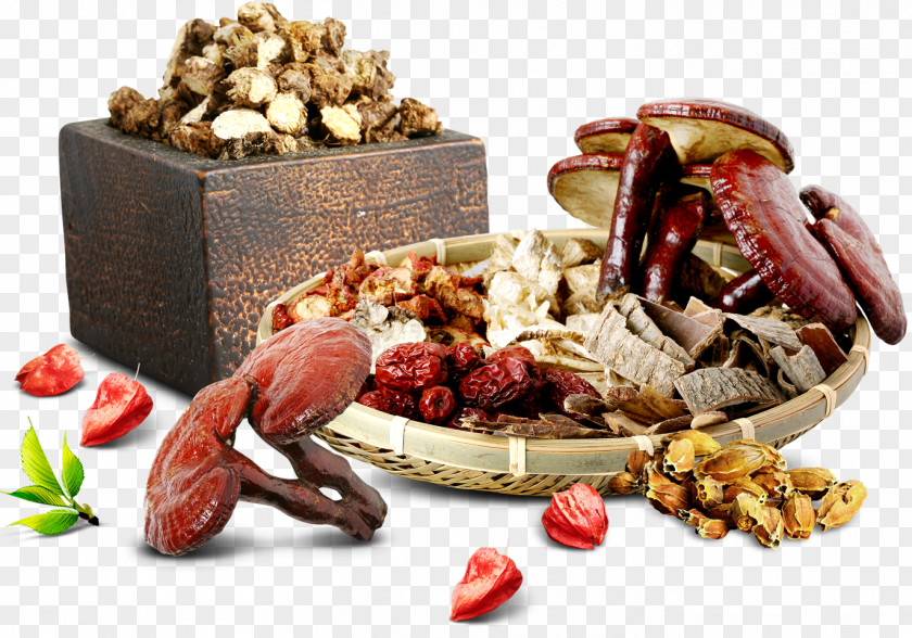 Chinese Medicine Herbs China Traditional Herbology PNG