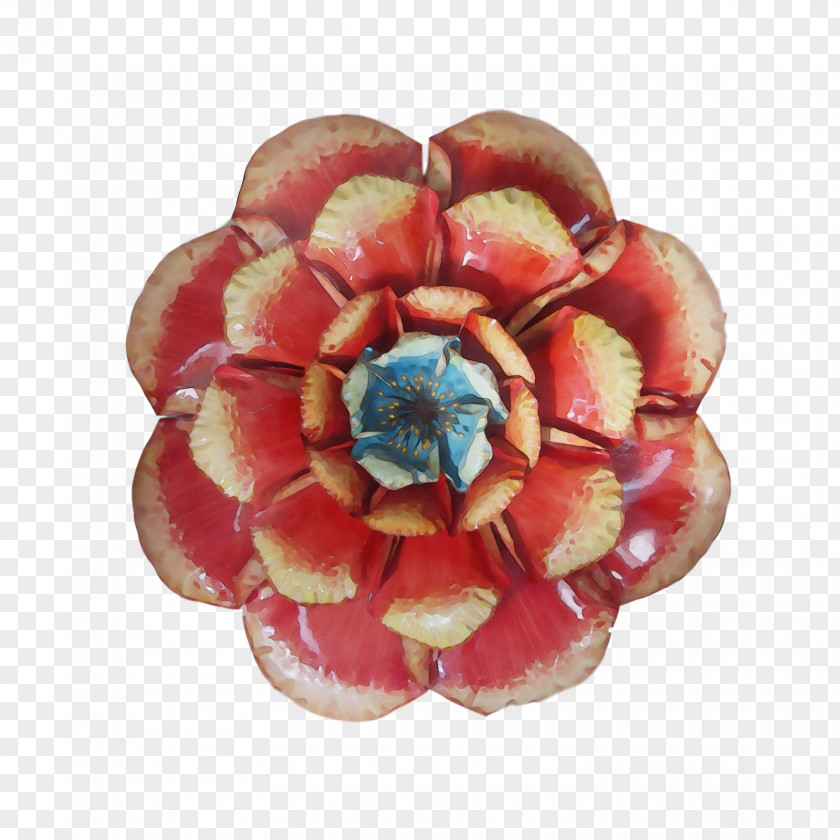 Cut Flowers Petal Flower PNG