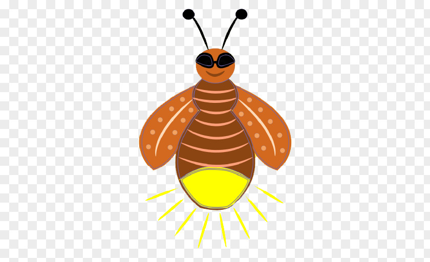 Firefly Pic Clip Art PNG