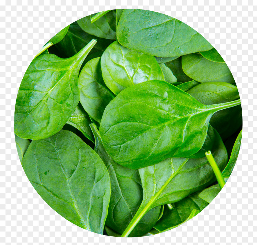Leaf Spinach Pakora Vegetable Palak Paneer PNG