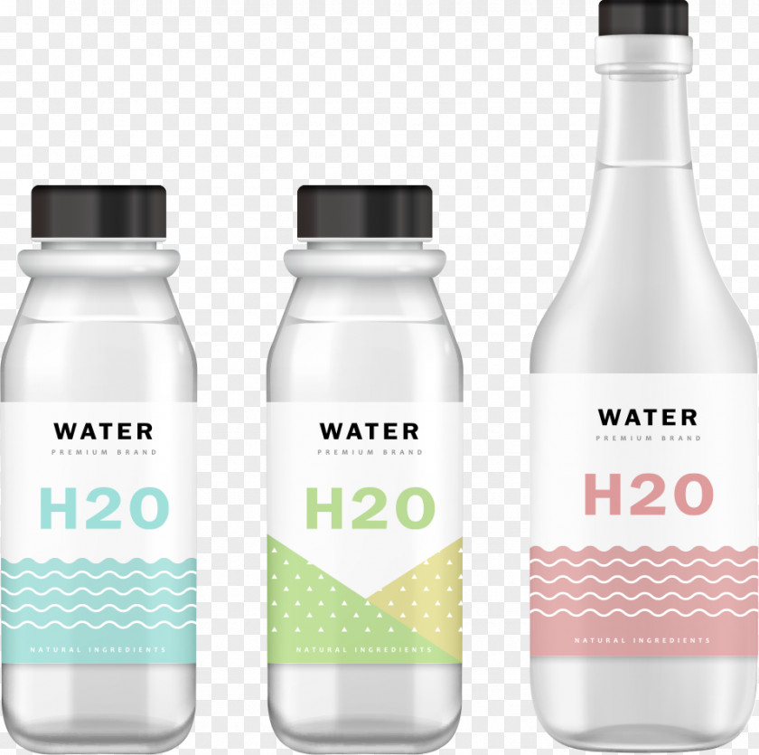 Vector Bottle Design Mockup Water PNG