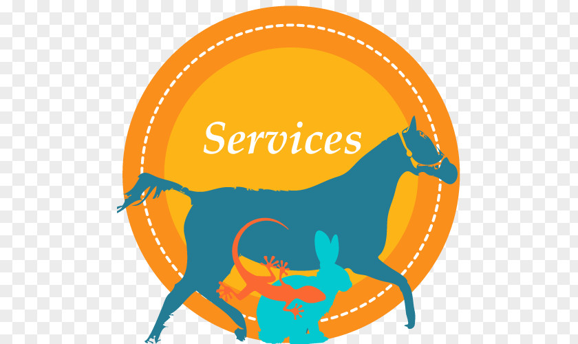 Lawrence County Animal Hospital Lawrenceville Veterinarian Horse Clip Art PNG