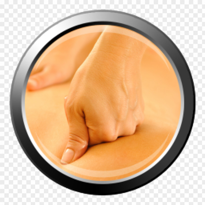 Massage 3D Magic Eye Quiz Anatomy A Quiz? Android PNG