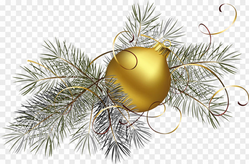 Transparent Gold Christmas Ball With Pine Clipart Picture Ornament Clip Art PNG