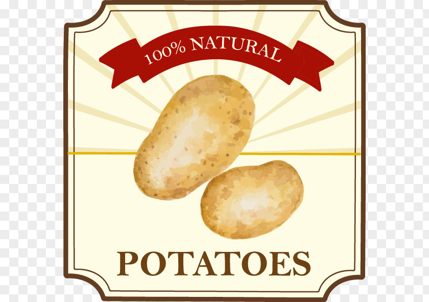 Painted Beige Shading Potatoes Letter Potato Adobe Illustrator PNG
