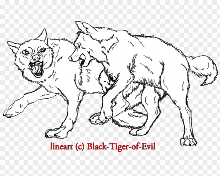 Painted Gray Wolf Dog Breed Line Art Lion German Shepherd Tiger PNG