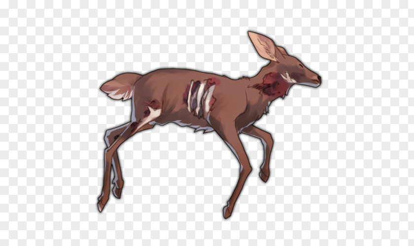 Reindeer Animal Clip Art PNG