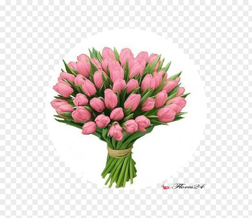 Tulip Flower Bouquet Khabarovsk Gift PNG