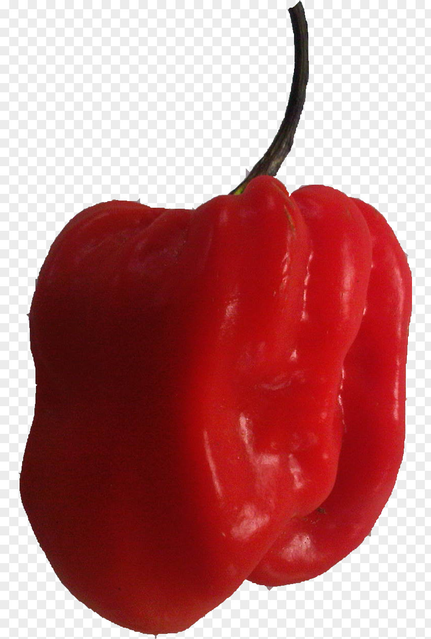 Bhut Jolokia Habanero Tabasco Pepper Cayenne Bell Malagueta PNG