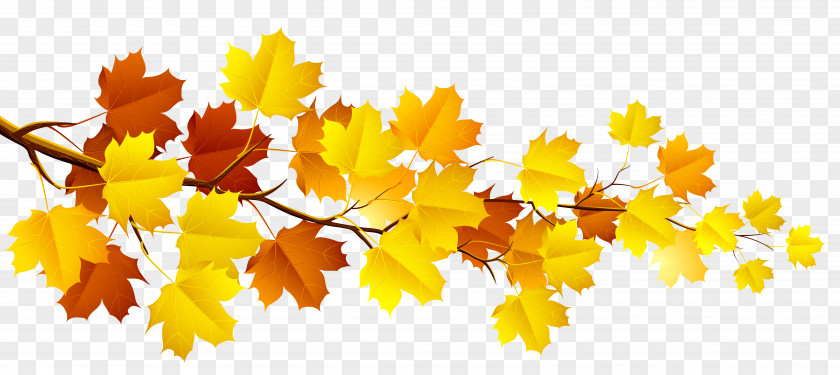 Branch With Autumn Leaves Clipart Tree Clip Art PNG
