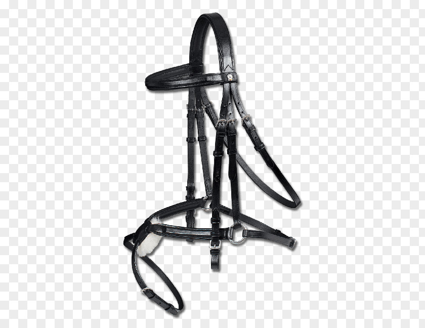 Horse Bridle Equestrian Halter Rein PNG