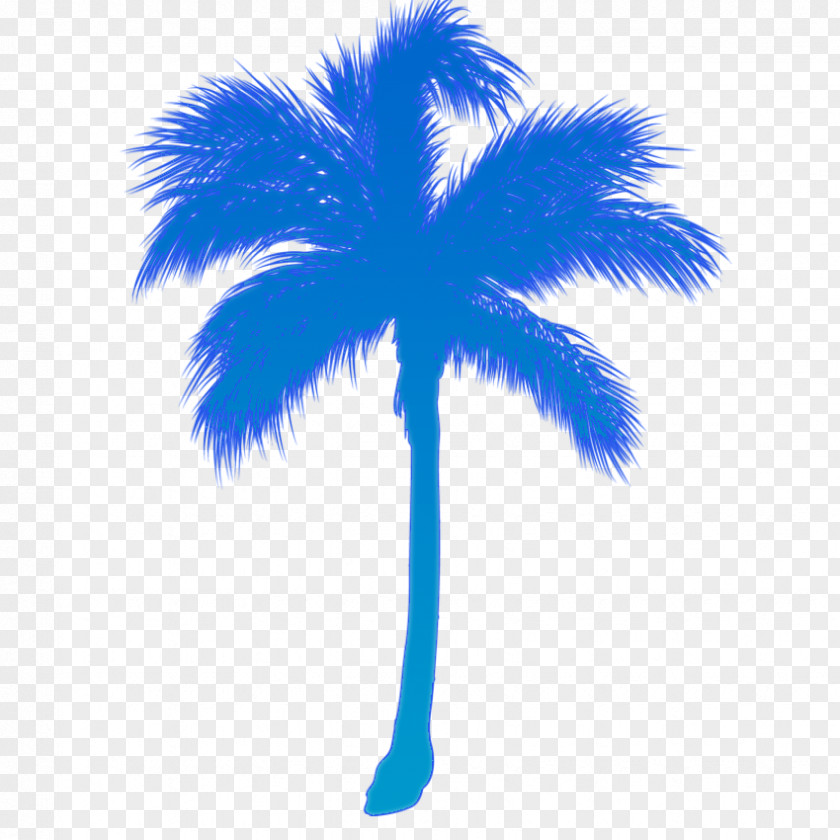 PALMERAS Sticker Arecaceae Surf Beach Decal PNG