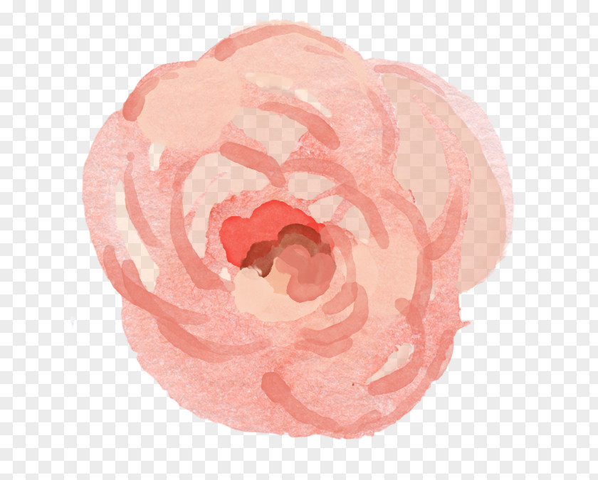 Rose Garden Roses Petal Pink M PNG