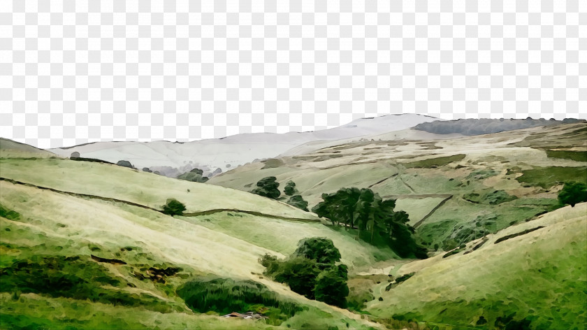 Grassland Landscape Meadow Sky Grass PNG