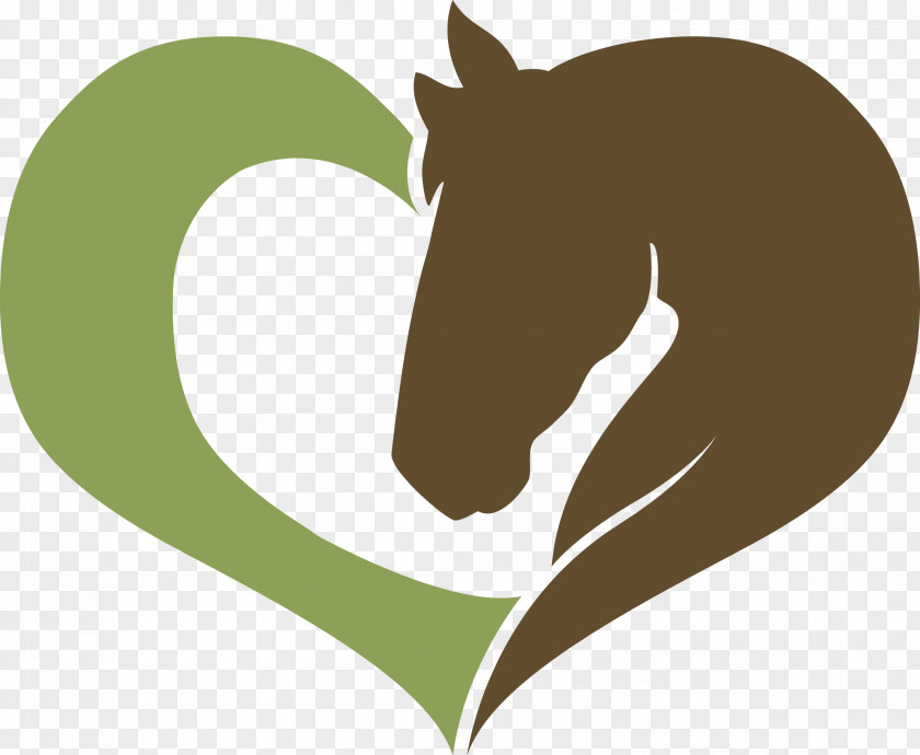 Horse Love Horsemanship Dressage Clinic Workshop Series Equestrian PNG