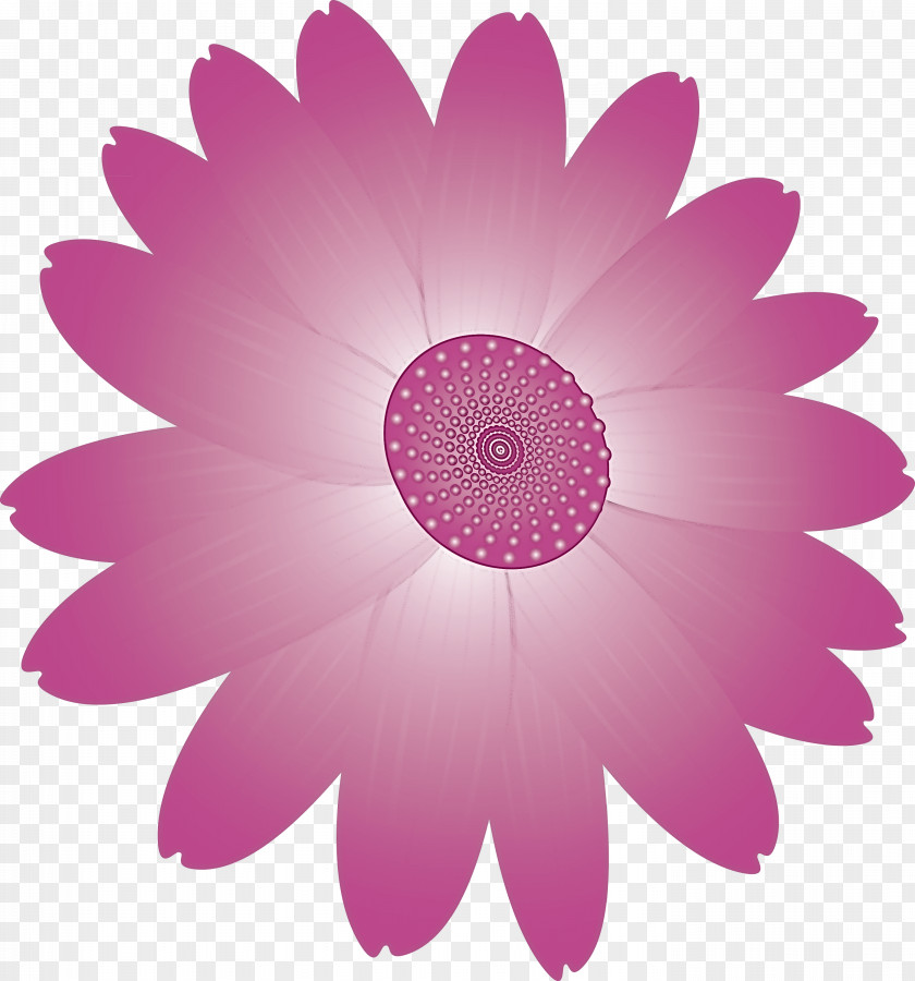 Marguerite Flower Spring PNG