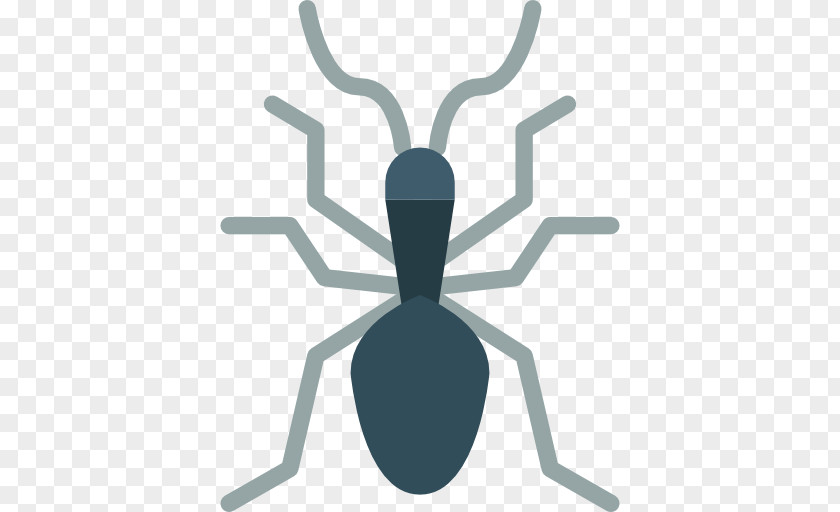 Insect Clip Art PNG