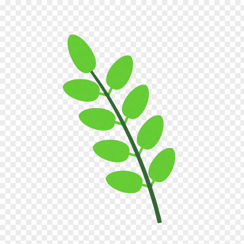 Leaf Plant Stem Line Branching Clip Art PNG