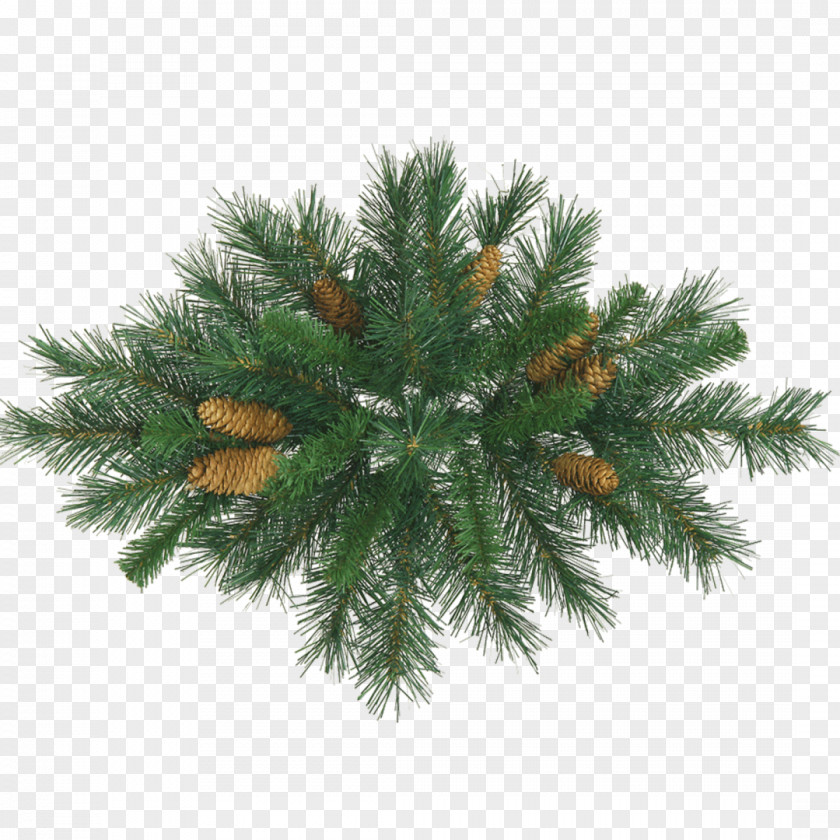 Pine Cone Christmas Tree Flower New Year PNG