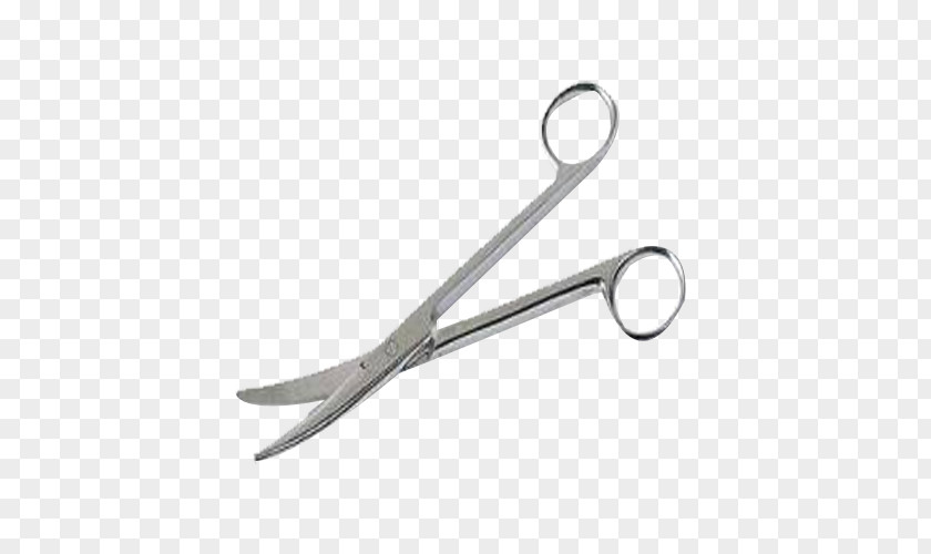 Scissors Solingen Nipper Cosmetologist Steel PNG