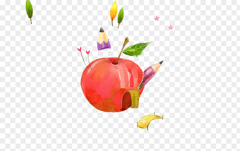 Apple And Pencil PNG