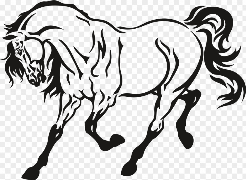 Arabic Clip Art Black And White Animal Horse Stock Photography Stencil Vector Graphics Illustration PNG