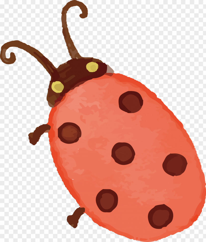 Ladybug Animal Ladybird Computer File PNG