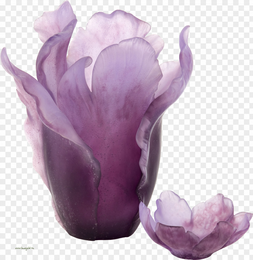 Vase Violet Purple Glass Daum PNG