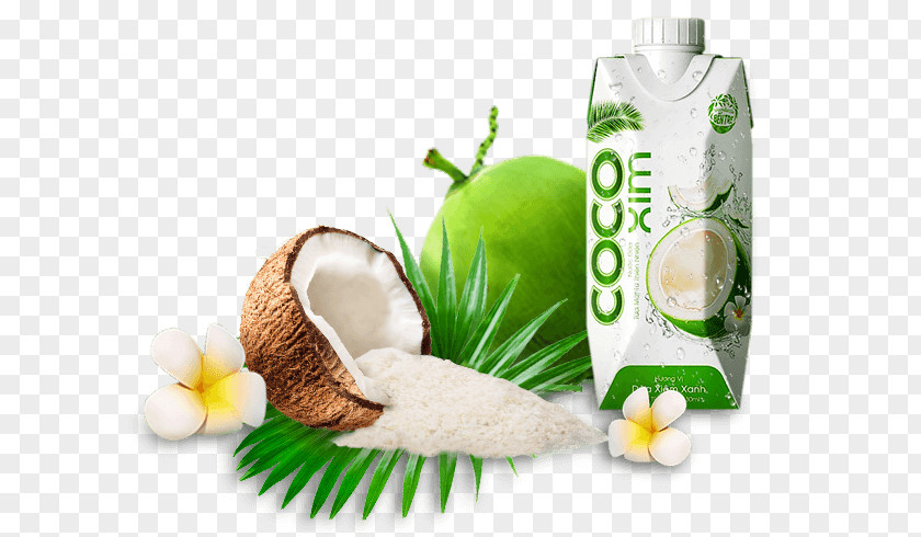 Coconut Milk Betrimex Water Oil PNG